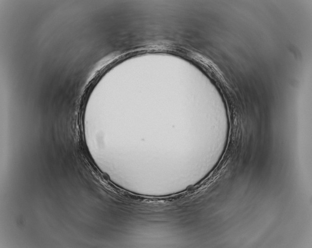 X0000113041168200909241428