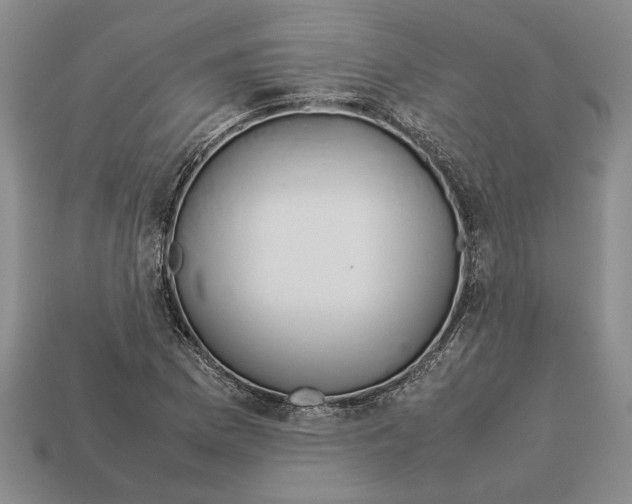 X0000113041169200909241428