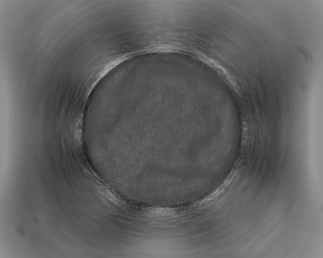 X0000113041170200909241428