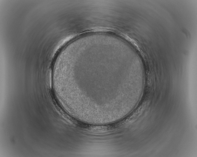 X0000113041171200909241428