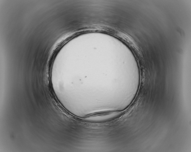 X0000113041172200909241428