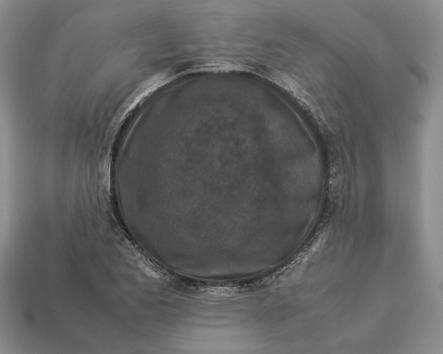 X0000113041173200909241428