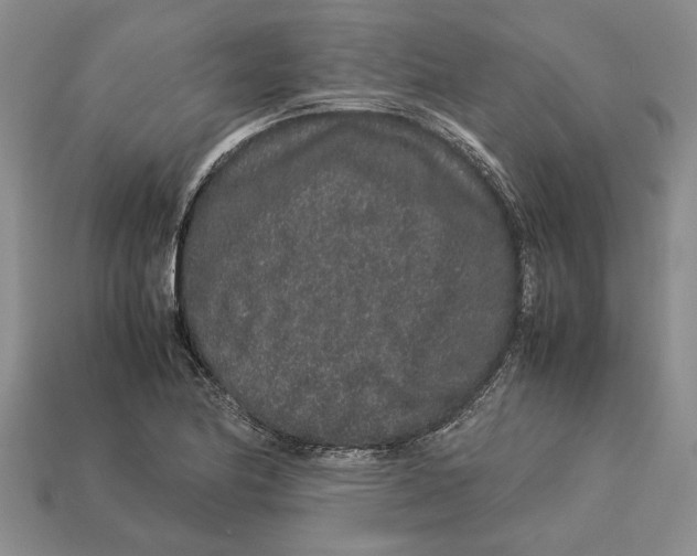 X0000113041174200909241428