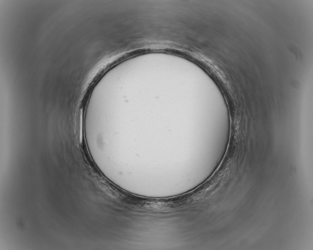 X0000113041175200909241428