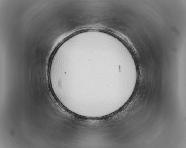 X0000113041176200909241428