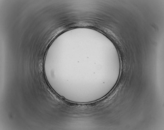 X0000113041177200909241428