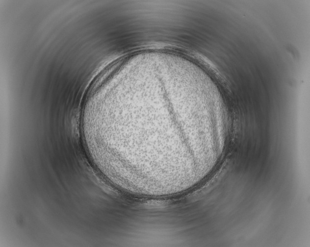 X0000113041178200909241428