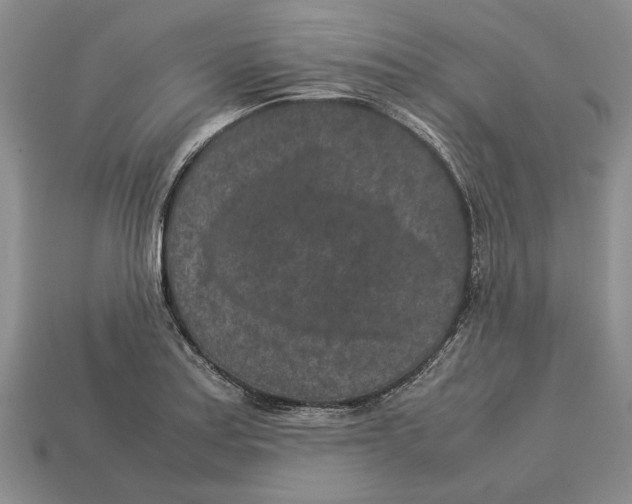 X0000113041179200909241428