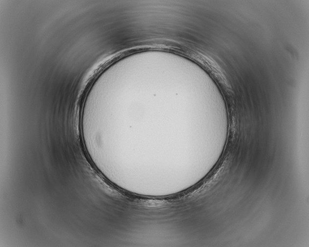 X0000113041180200909241428