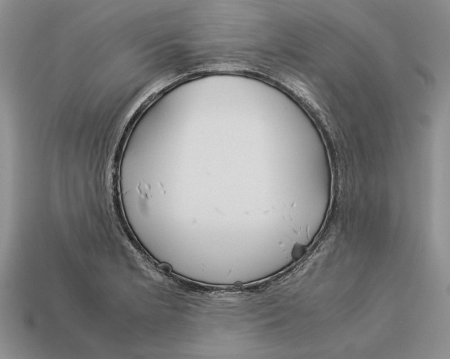X0000113041181200909241428