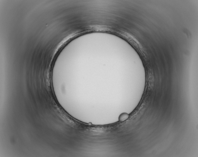 X0000113041182200909241428