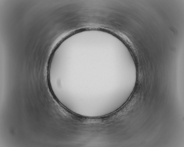 X0000113041183200909241428