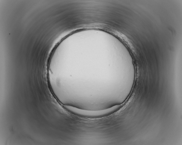X0000113041184200909241428