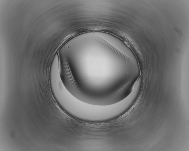 X0000113041185200909241428