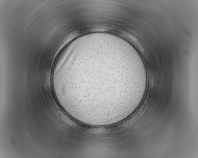 X0000113041186200909241428