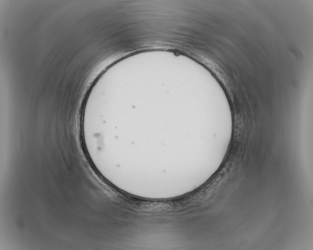 X0000113041187200909241428