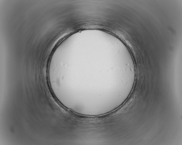 X0000113041189200909241428