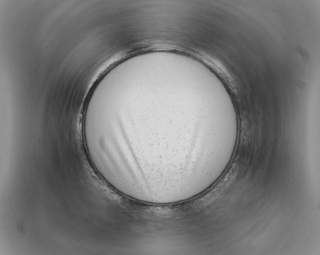 X0000113041190200909241428
