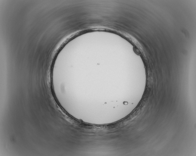 X0000113041191200909241428