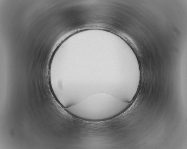 X0000113041192200909241428