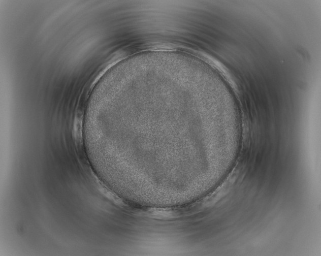 X0000113041194200909241428