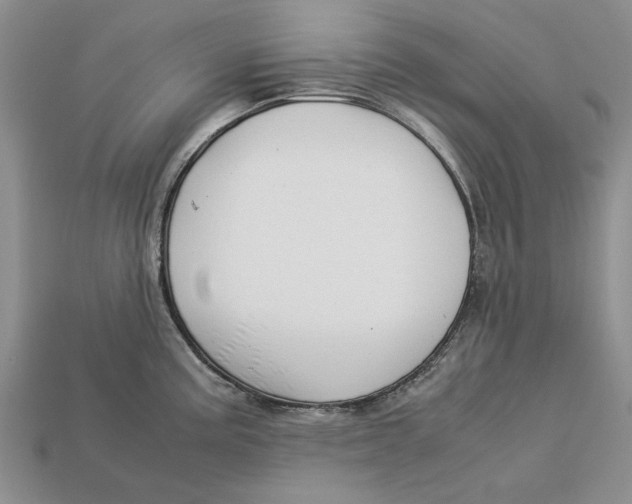 X0000113041195200909241428