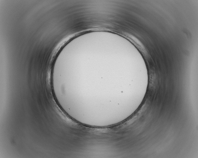 X0000113041196200909241428