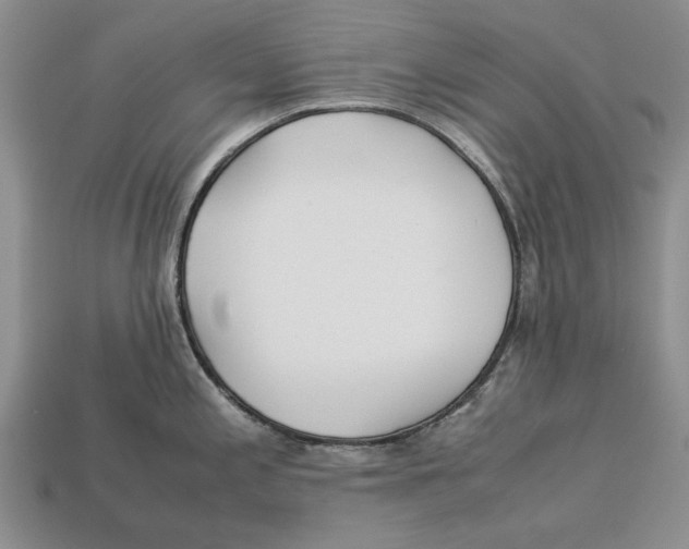 X0000113041197200909241428