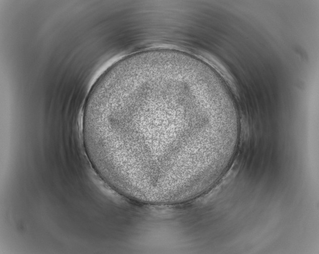 X0000113041198200909241428