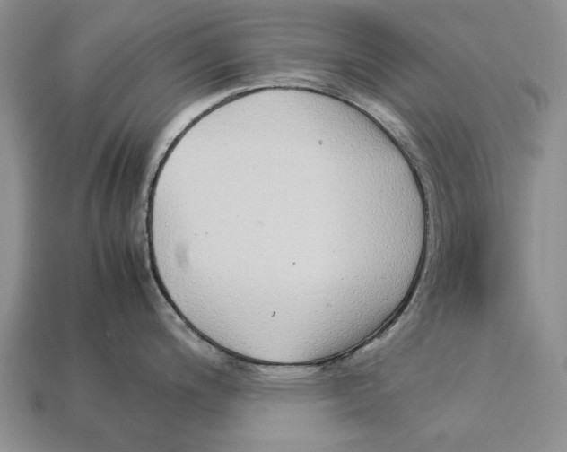X0000113041200200909241428
