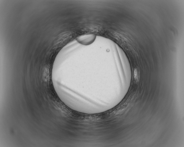 X0000113041203200909241427