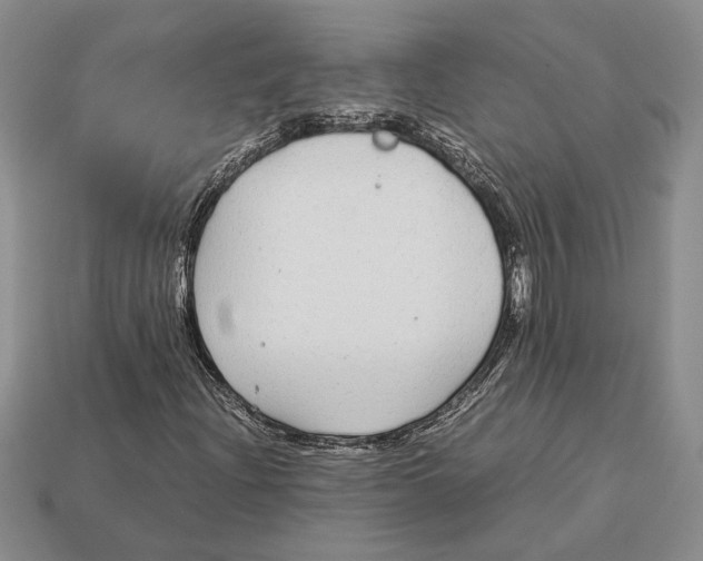 X0000113041204200909241427