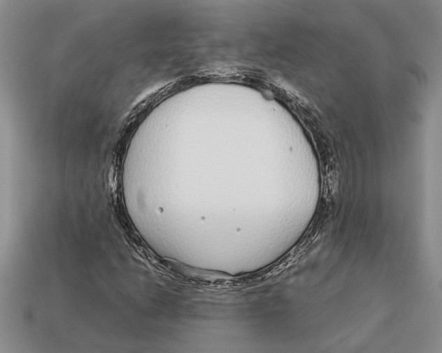 X0000113041206200909241427
