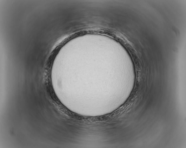 X0000113041208200909241427
