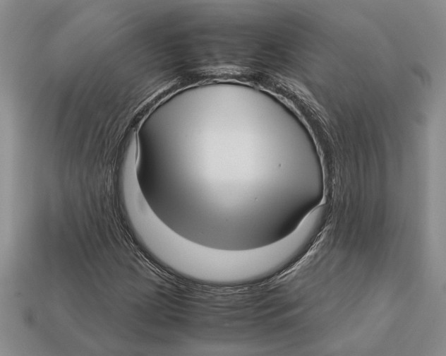 X0000113041209200909241427