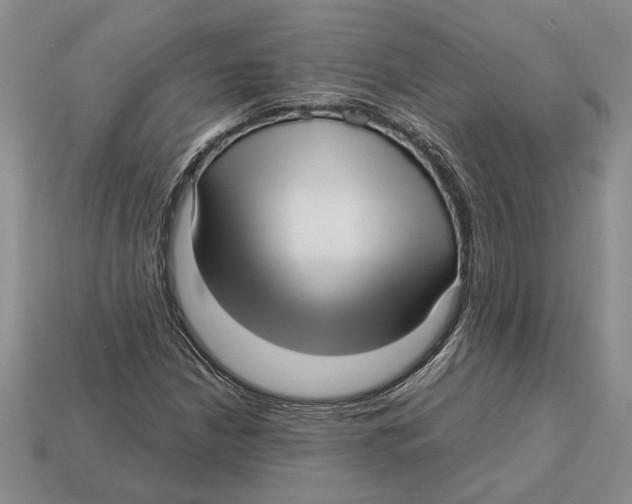 X0000113041210200909241427