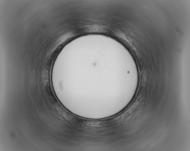 X0000113041211200909241427