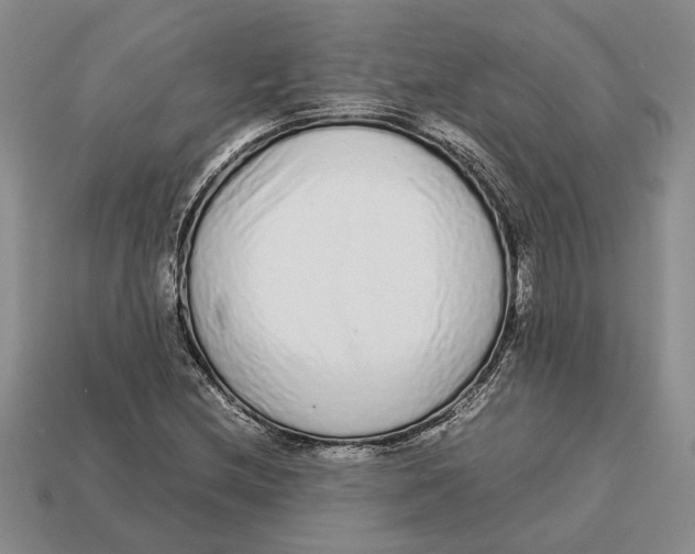 X0000113041212200909241427