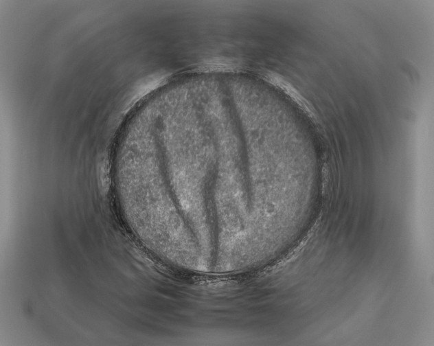 X0000113041213200909241427
