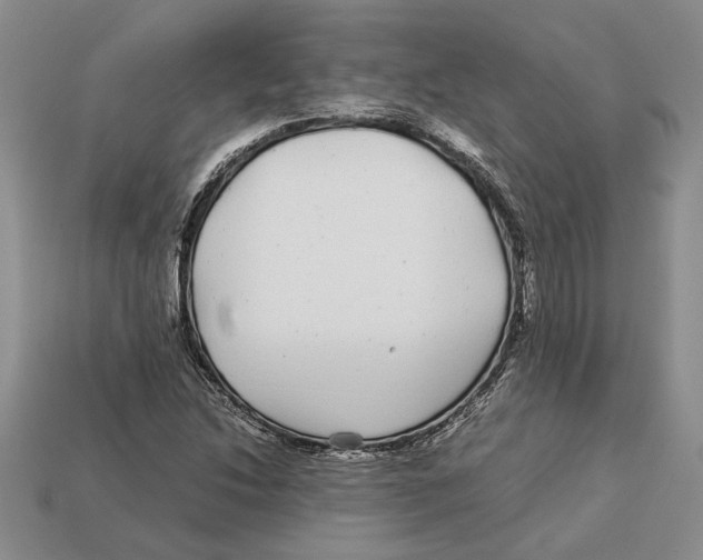 X0000113041214200909241427