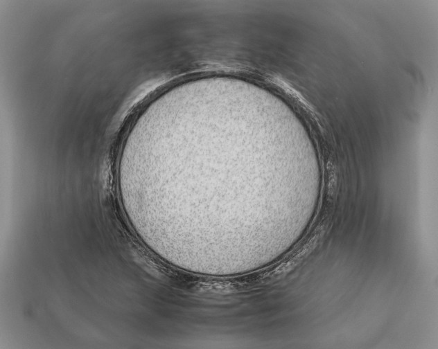 X0000113041215200909241427