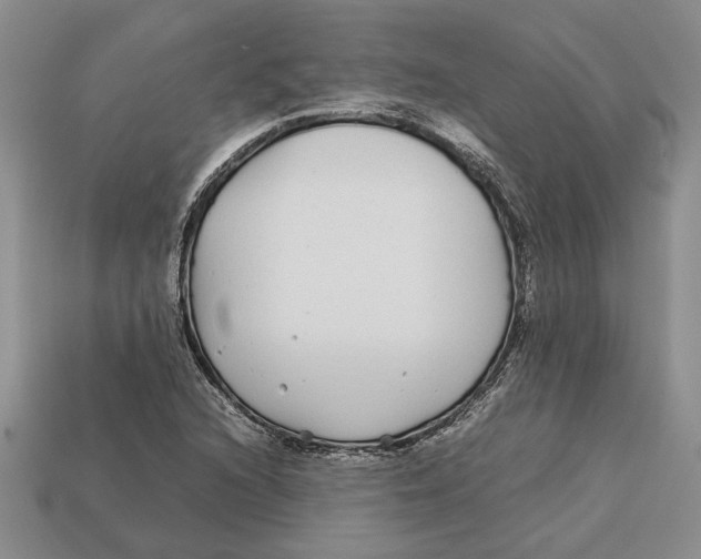 X0000113041216200909241427