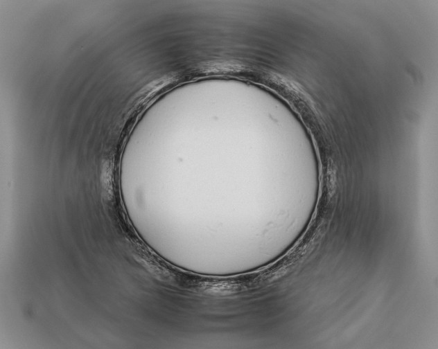 X0000113041217200909241427