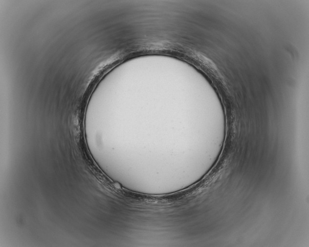 X0000113041218200909241427