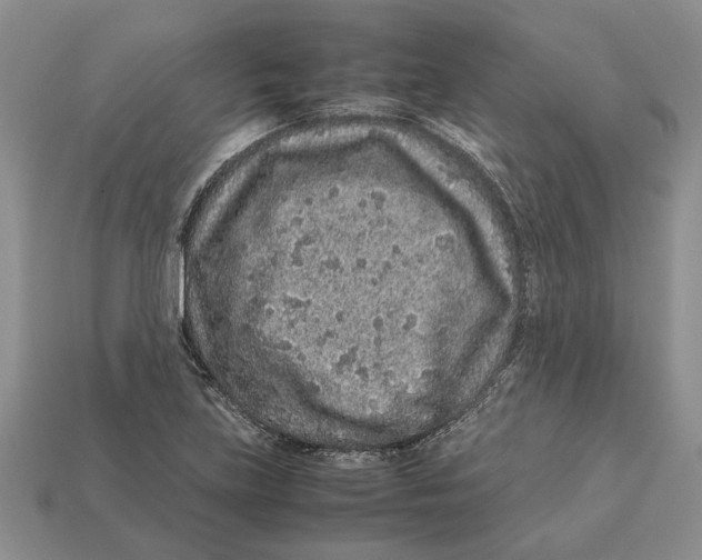 X0000113041219200909241427