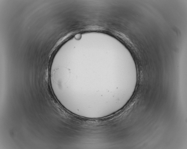 X0000113041220200909241427