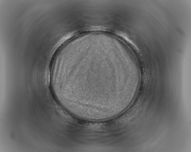 X0000113041221200909241427