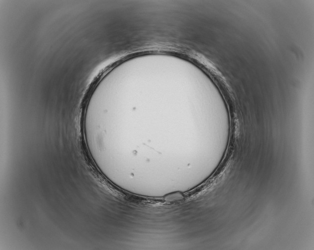 X0000113041222200909241427