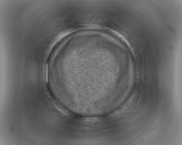 X0000113041223200909241427