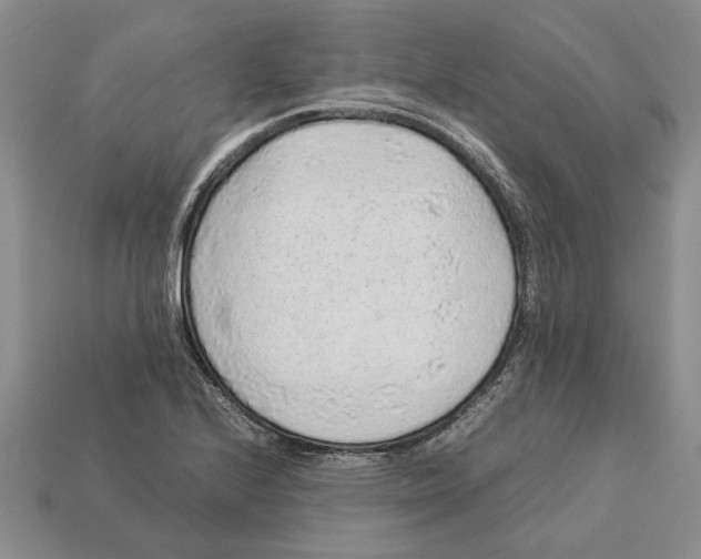 X0000113041224200909241427